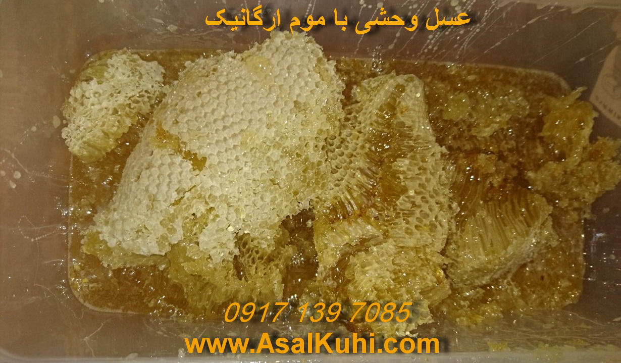 خرید عسل وحشی در تهران